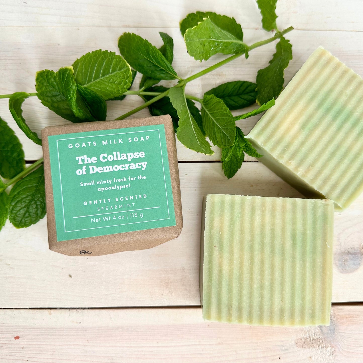 Collapse of Democracy