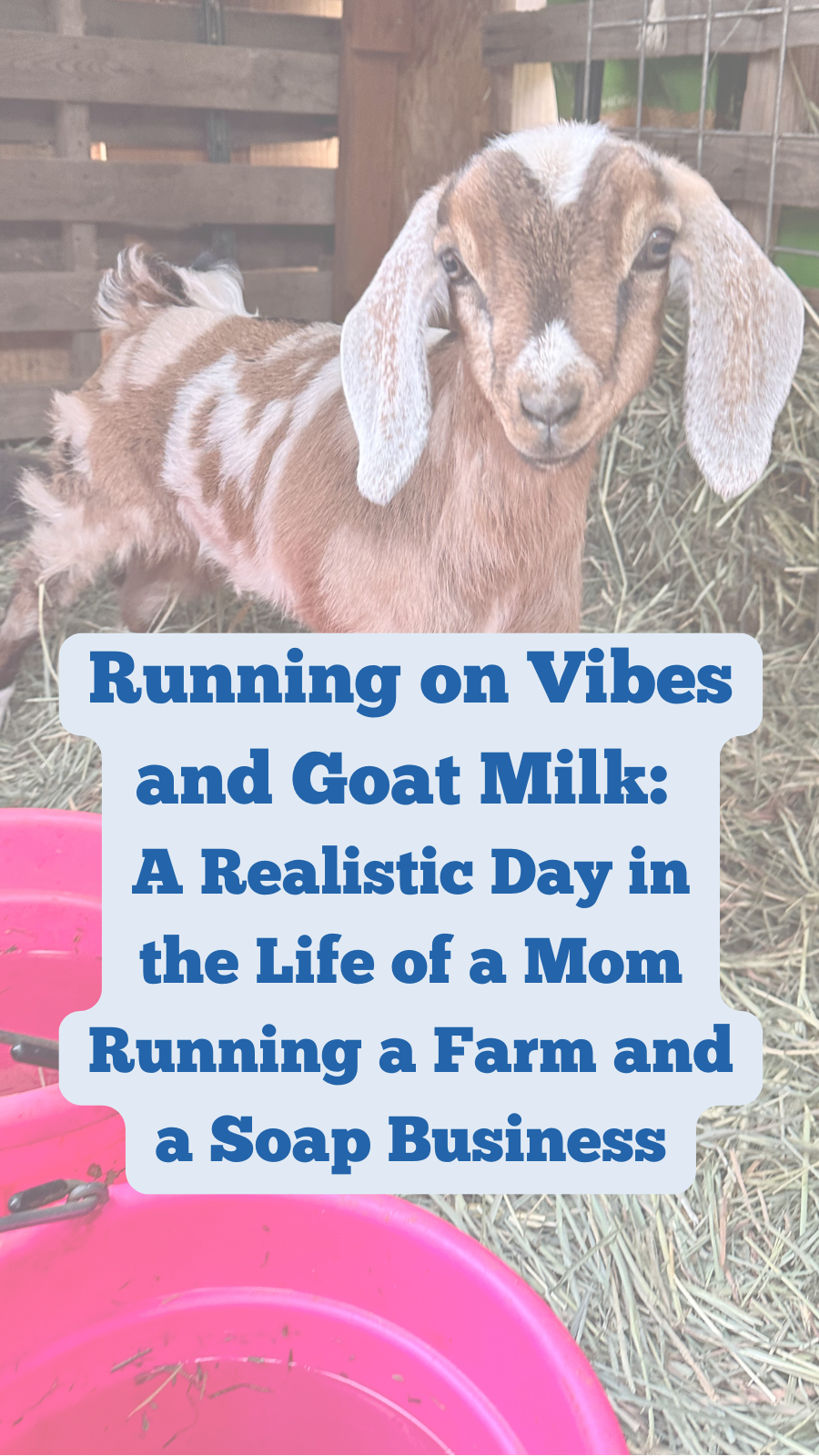 Running on Vibes and Goat Milk: A Realistic Day in the Life of a Mom Running a Farm and a Soap Business