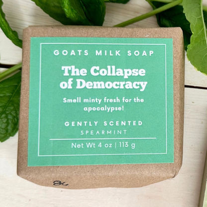 Collapse of Democracy